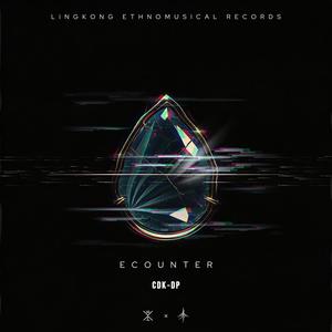 Ecounter(霜逝者)