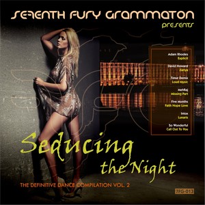 Seducing The Night - The Definitive Dance Compilation Vol. 2