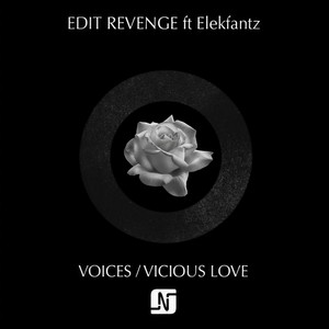 Voices (Instrumental Mix)