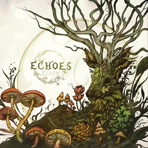 Echoes