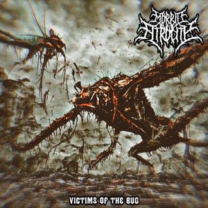 Victims of the bug (Demo Version) [Explicit]