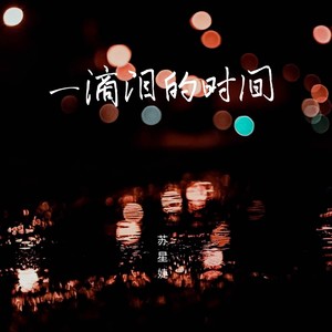 苏星婕《一滴泪的时间》[MP3_LRC]_MP3免费下载