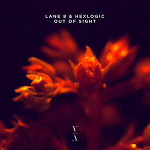 Out Of Sight (Extended Mix)