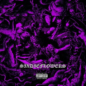 With the hatred of 666 million worlds I curse all people who will be connected with my Death, Now and at the hour of our Death. (Remix|Explicit)