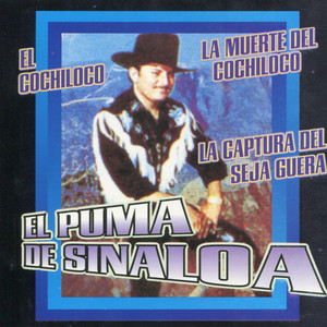 El Puma de Sinaloa