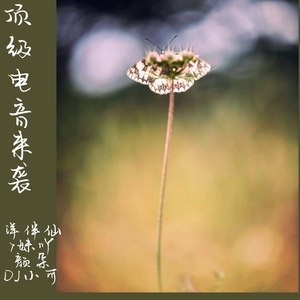 南山南，开头叼爆