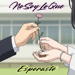 No Soy Lo Que Esperaste