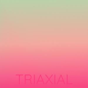 Triaxial