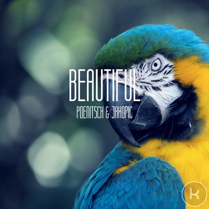 Beautiful (Radio Edit)