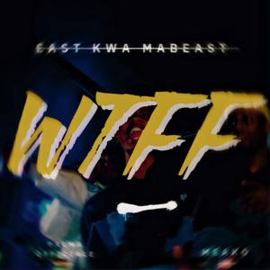 WTFF (feat. Callmemeako) (Explicit)