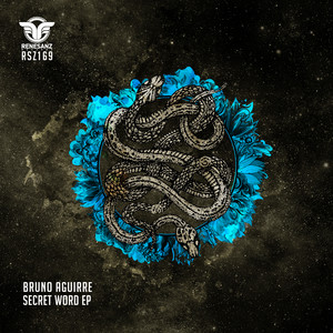Secret Word (Original Mix)