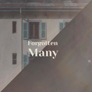 Forgotten Many