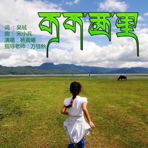 可可西里 - 杨晨曦封面