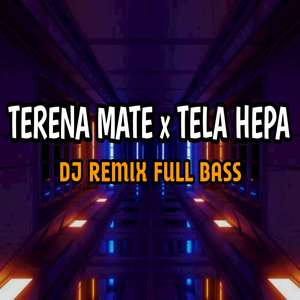 Dj terena mate x tela hepa (remix)