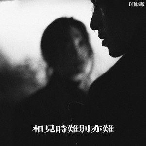 相见时难别亦难 (DJ转场版)