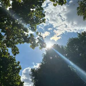 zbc不困 - 你看你看月亮的脸