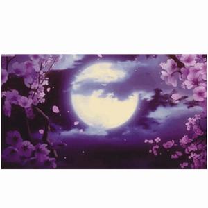 She Got that (Explicit)