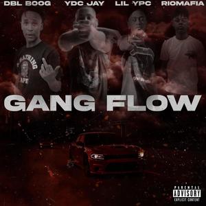 Gang Flow (feat. DBL Boog, Lil Ypc & Rio Mafia) [Explicit]