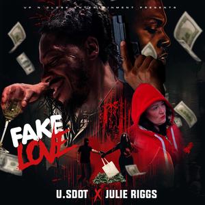 Fake Love (feat. Julie Riggs) (Explicit)