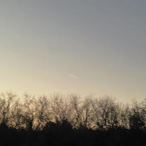 goodnight, sweet dreams