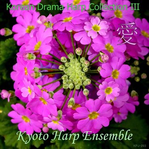 奇皇后メインテーマ（「奇皇后」より）harp version