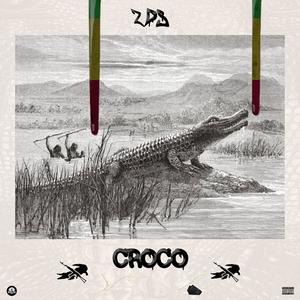 CROCO PROJECT 3