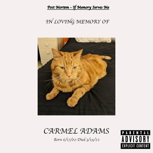 fo2k (feat. D-Will) (Explicit)