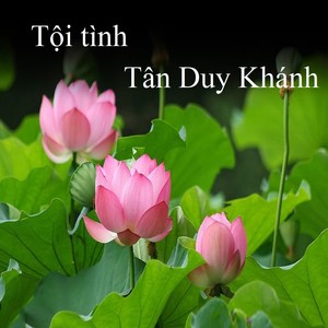 Tội tình