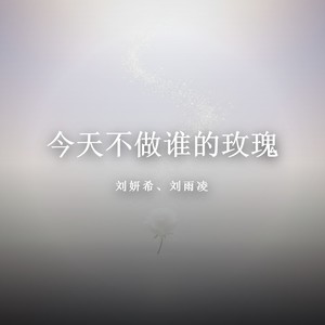 今天不做谁的玫瑰 (潇洒版)