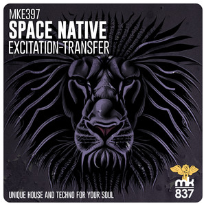 Excitation-Transfer