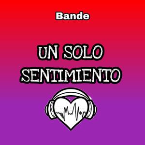 Un solo sentimiento (feat. Bande)