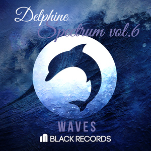 Spectrum Vol.6