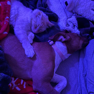 Lyin 2 (feat. Noraa Redworc) (Explicit)