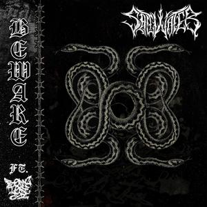 BEWARE (feat. BORN 2 LOSE) (Explicit)