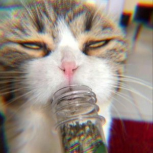 窝窝头 (Original Mix)