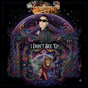 I Don't See 'Em (Explicit)