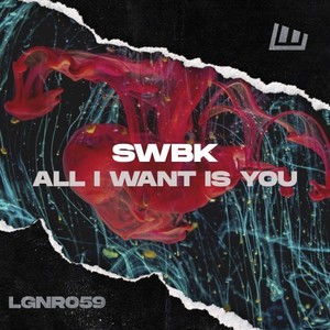 All I Want Is You (Extended Mix)