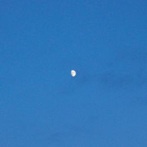 deeply in, letting go