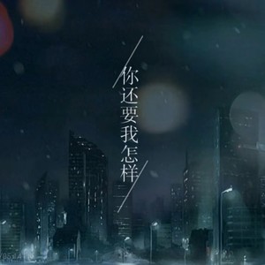 你还要我怎样