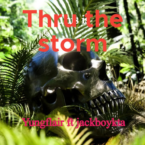 Thru the Storm (Explicit)