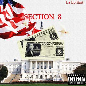 Section 8 (Explicit)