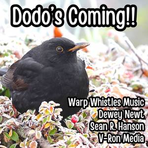 Dodo's Coming!! (From "Super Mario RPG") (Cover Version)