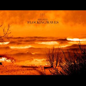 Flocking Waves Ep