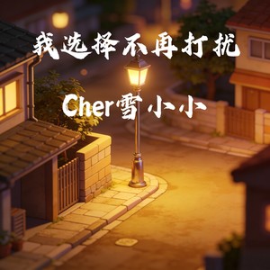 我选择不再打扰 (伴奏)