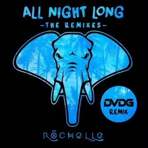 All Night Long (DVDG Remix)