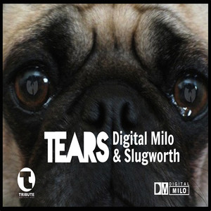 Tears - Single