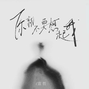 你就不要想起我 (氛围版)