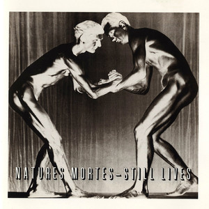 Natures Mortes - Still Lives