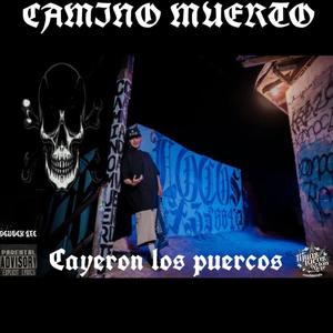 Cayeron los puercos (feat. Menace wp) [Explicit]