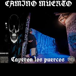 Cayeron los puercos (feat. Menace wp) (Explicit)